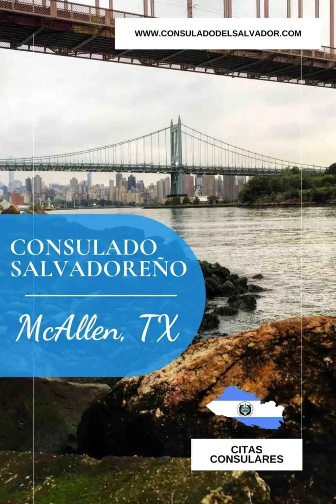 numero del consulado de mcallen tx